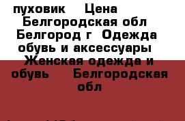 пуховик  › Цена ­ 1 500 - Белгородская обл., Белгород г. Одежда, обувь и аксессуары » Женская одежда и обувь   . Белгородская обл.